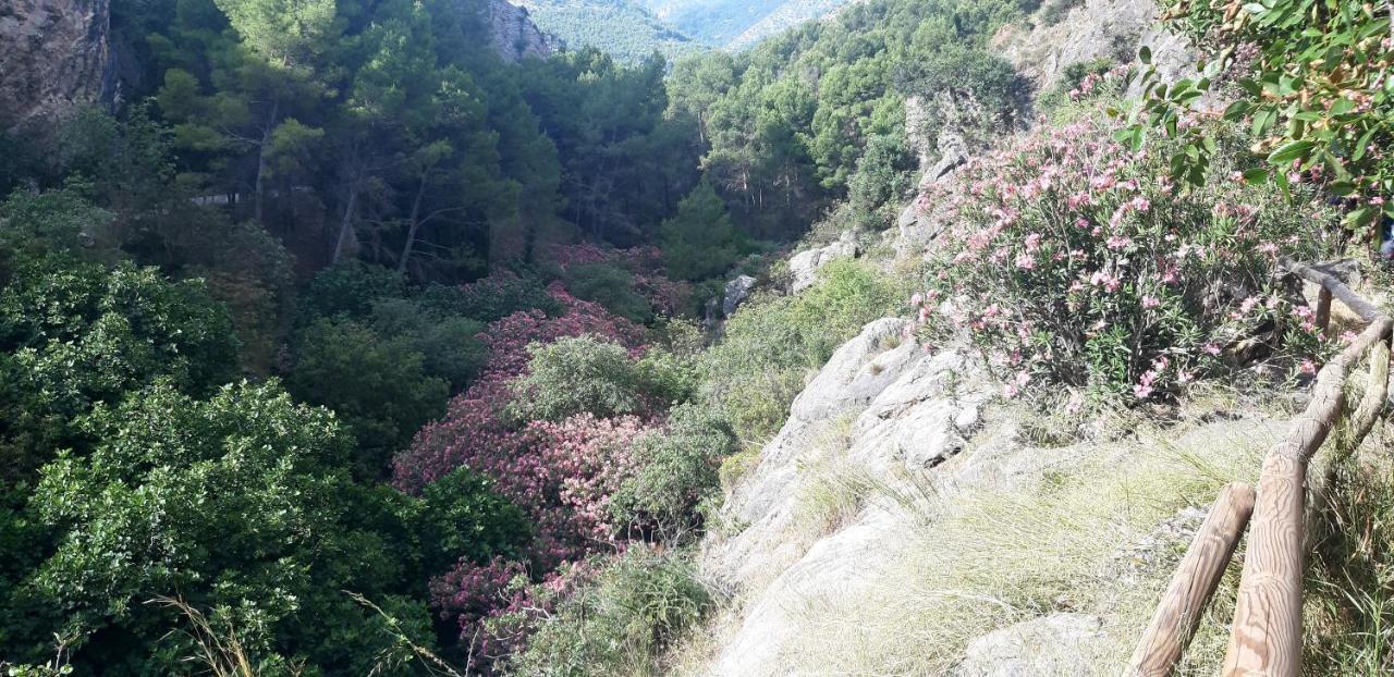 Hostal Rural De Cuadros Bedmar y Garciez 외부 사진